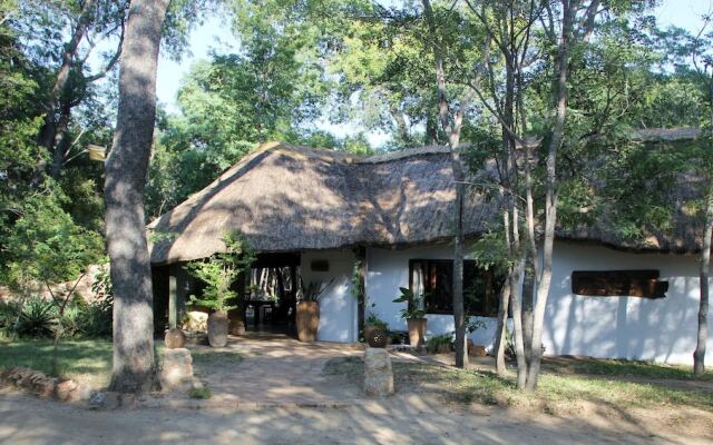 Miombo Safari Camp