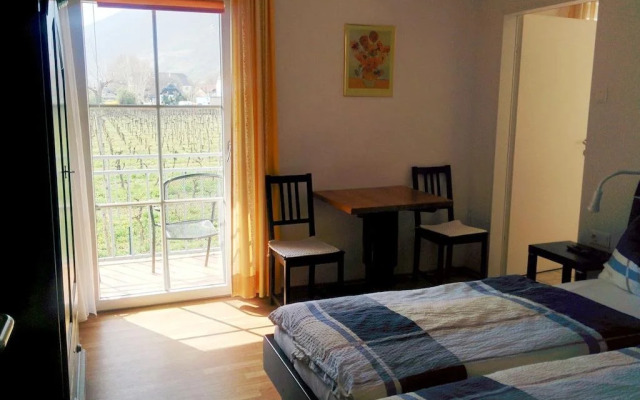 Donauschlösserl Spitz