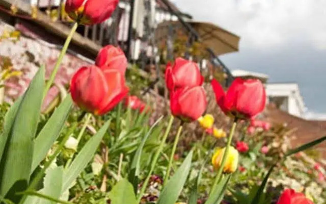 Innkeepers Lodge Norwich