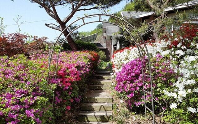 Seasonal Sky Pension