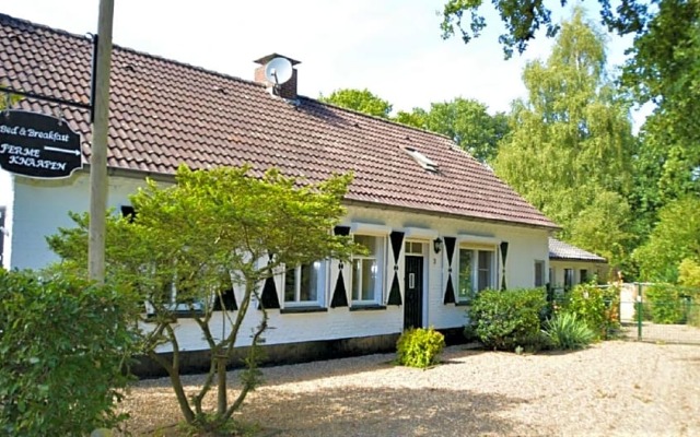 B&B Ferme Knaapen