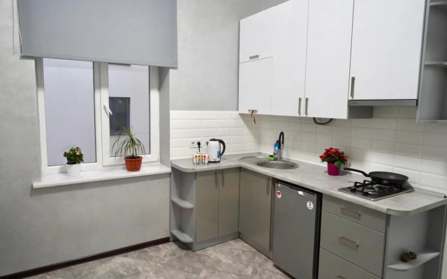 Apartment near Malevich and Opera House