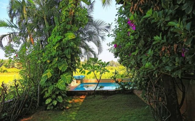 The Acacia Villa - Candy Floss