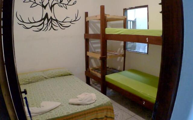 Hostel FreeDive Inn