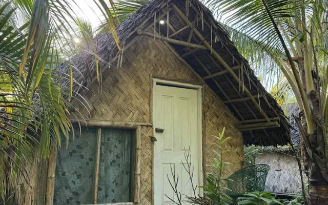 Jungle Oasis