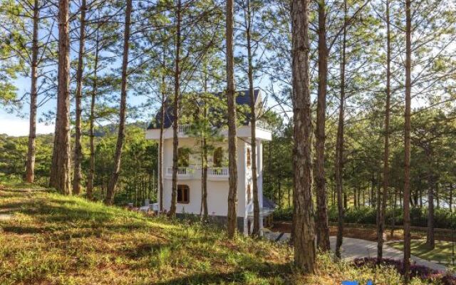 Kim Resort - Khu Nghĩ Dưỡng Rừng Lá Kim