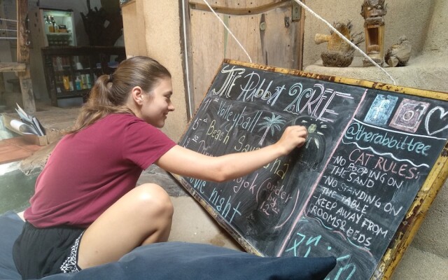 The Rabbit Tree - Hostel