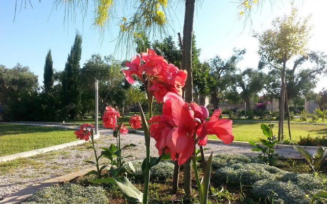 Willaria country house