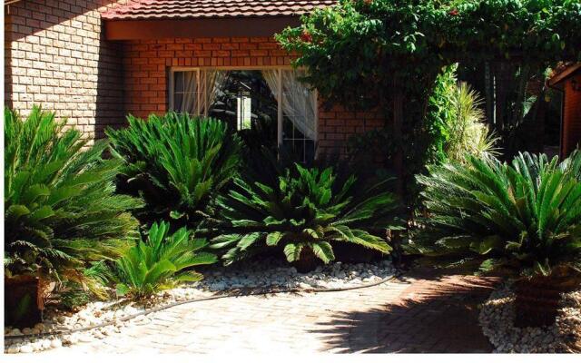 Cycas Guest House