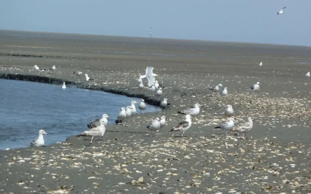 Hohe Lith 4.09 Modern Retreat