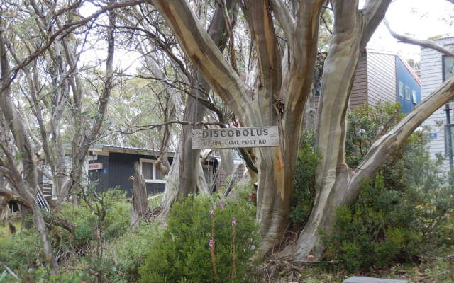 Mountain Retreat Suitable for 2 Families, Sleeps 8