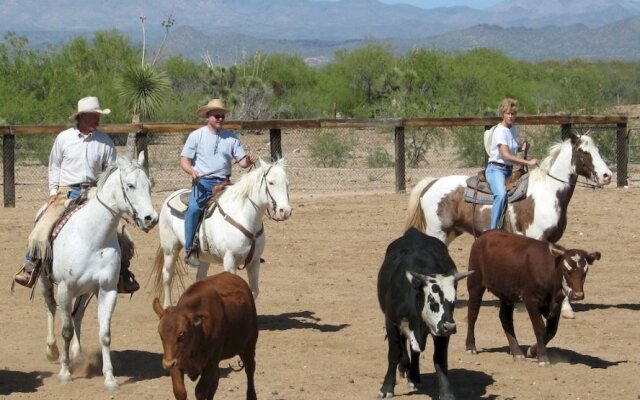 Flying E Ranch