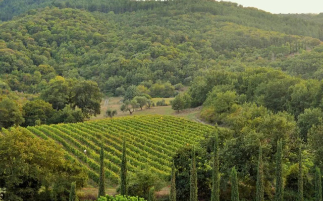 Tenuta Le Pianore