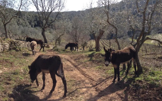 Agriturismo Biologico Ebbio
