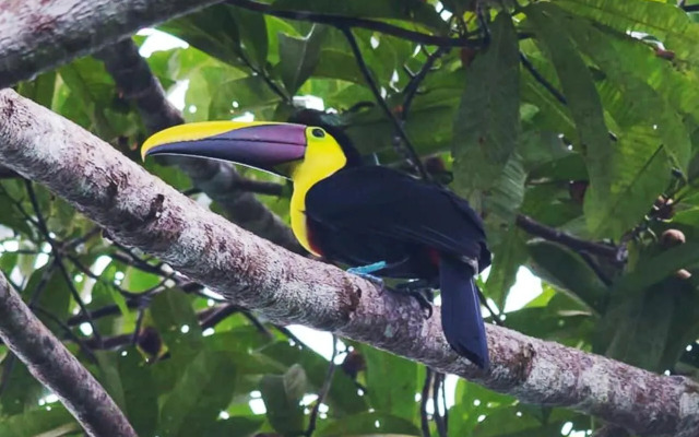 Hotel Destinos del Pacifico - Hostel