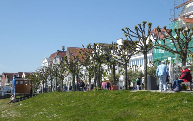 Reese Uitzicht op de Trave