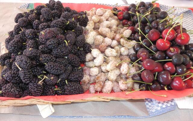 B&B Giardino 21 Marzo