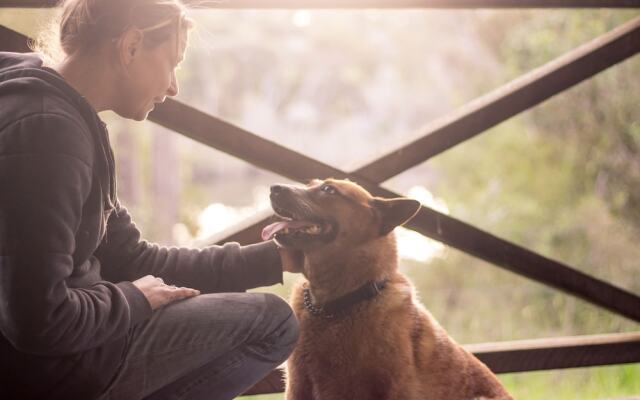 Che Sara Sara Chalets