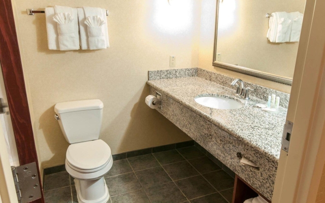 Comfort Suites