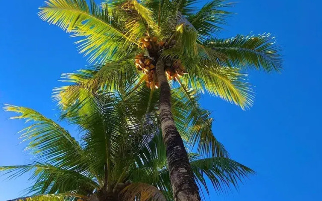 Puerto Palmeras Tarapoto Resort
