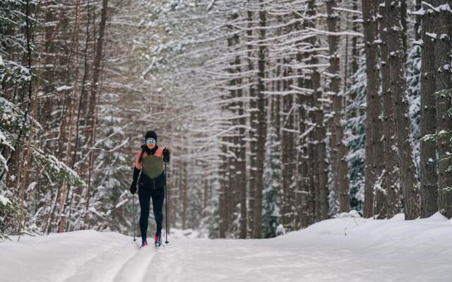 Relaxing Location Steps From Resort Citq 242281