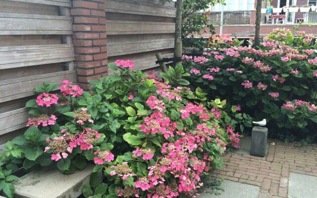 B&B Aan de Haven