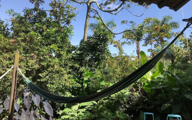 Viga Vieja el Jardin By Nomad Guru