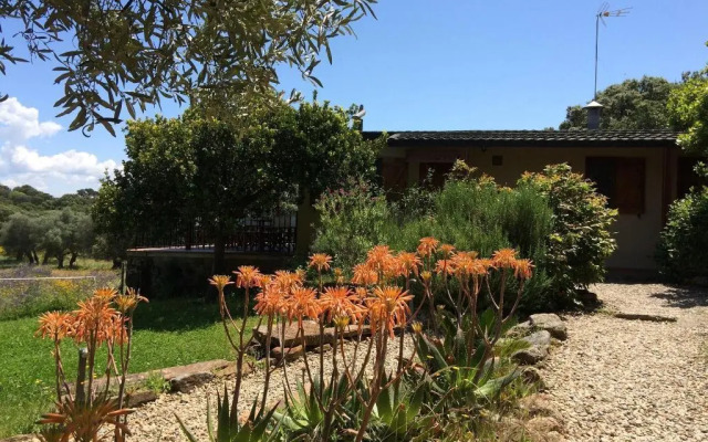 La Cerca Del Alcornoque