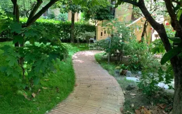 Villa Masi