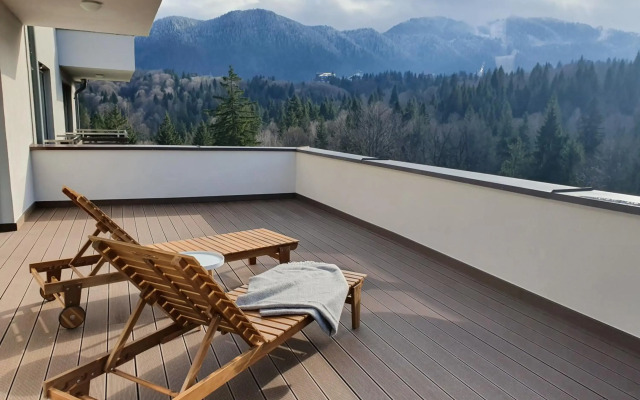 Silver Fox Residence