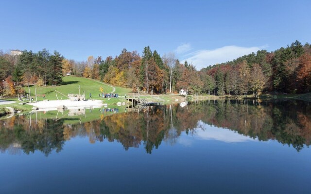 Cozy Holiday Home in Saldenburg near Forest