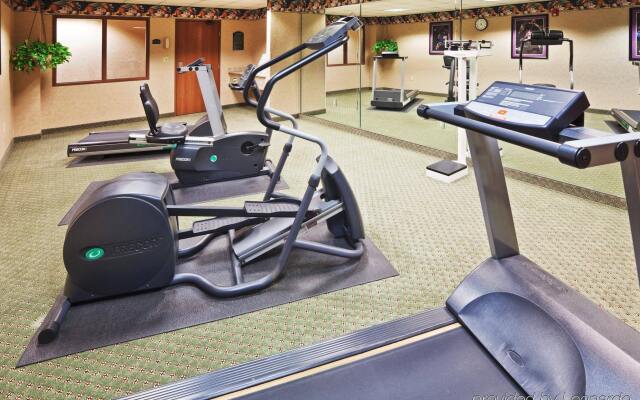 Holiday Inn Express Hotel & Suites Dallas Lewisville by IHG