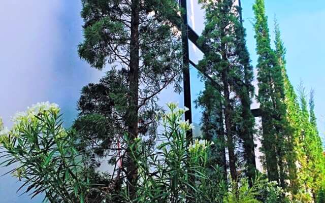 The Gold Living Life