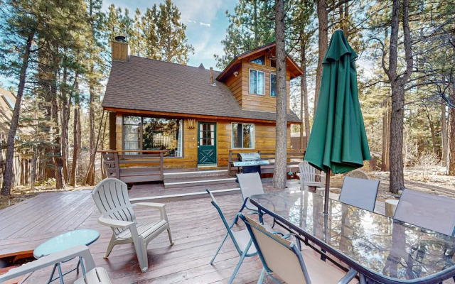 The Wilkie Cabin #339