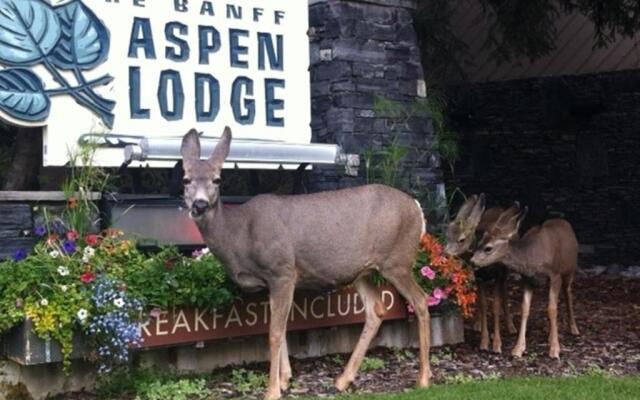 Banff Aspen Lodge