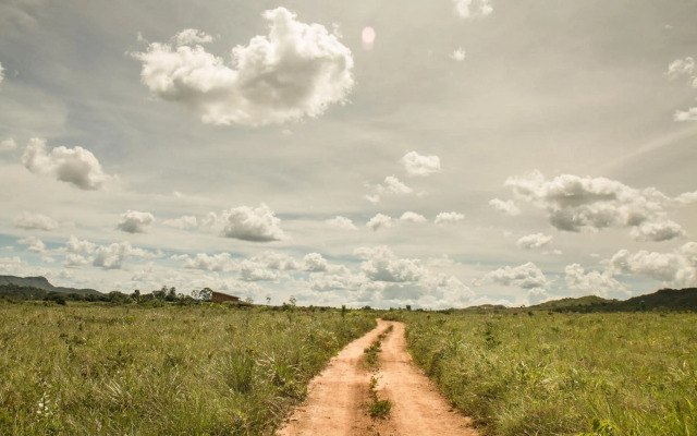 Raizando Ecologia Humana