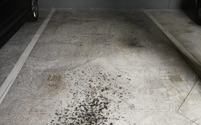 Paula Pool Apartment Adeje