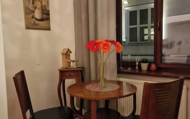 Apartment in the city center