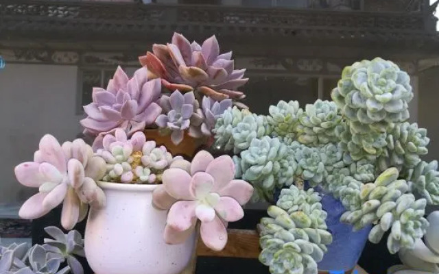 Yunbu Outdoor Themed Inn