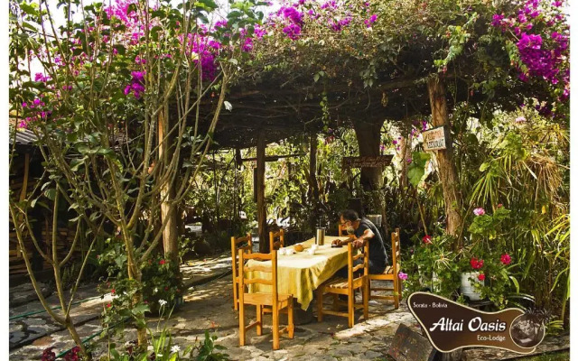 Altai Oasis Eco lodge