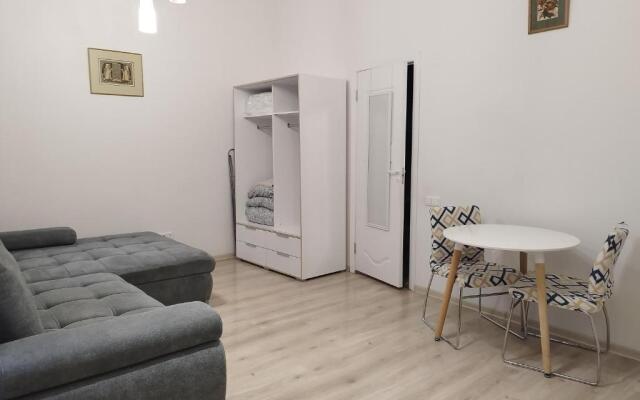 Gediminas Avenue Studio