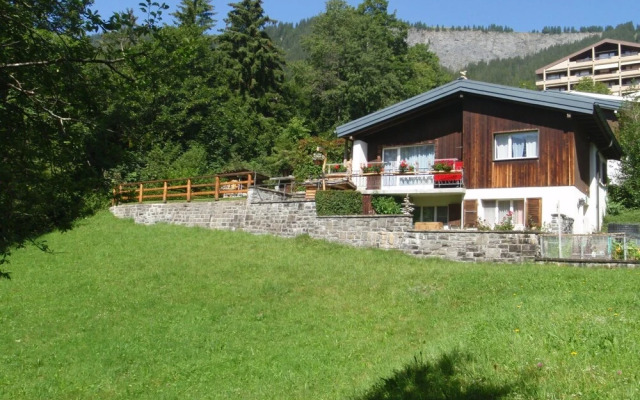 Schwalbe Adelboden in Adelboden