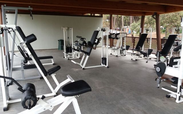 Club Del Sole Spina Family Collection