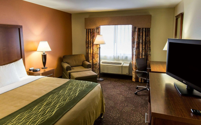 Comfort Inn Okemos - East Lansing