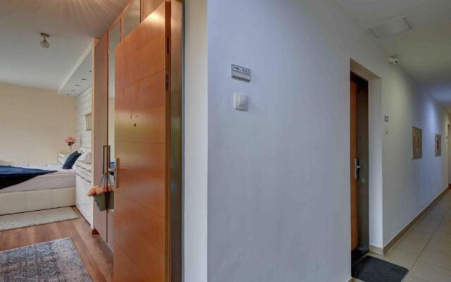 Madarhegy Apartment with garden Buda side