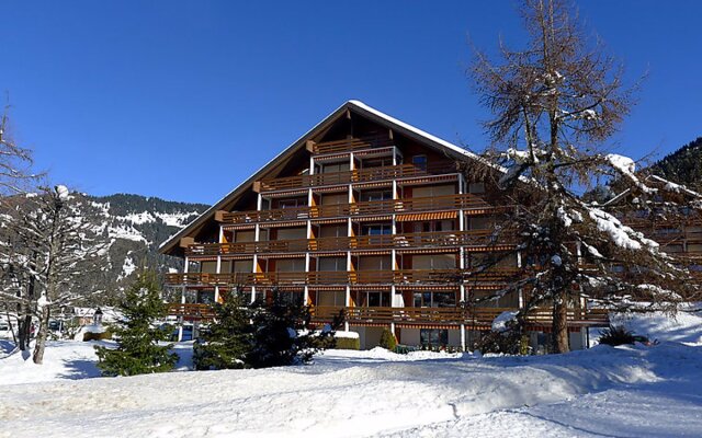 Villa Grenat Villars