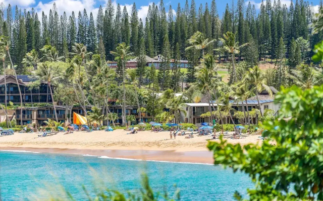 Napili Shores E240