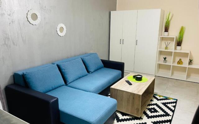 S&S Apartment - Studio Apartment Timisoara