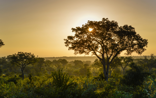 Lion Sands Narina Lodge