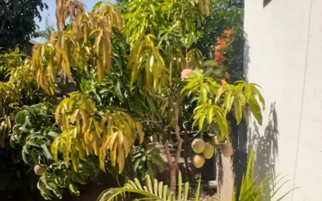 Stay.Plus Utawala Holiday House